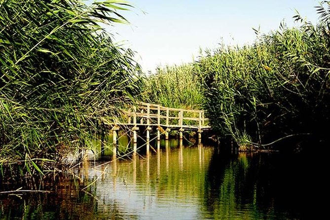 Shaumari Reserve and Azraq Wetland Private Full Day Tour from Amman - Why this day trip feels different from standard Jordan tours