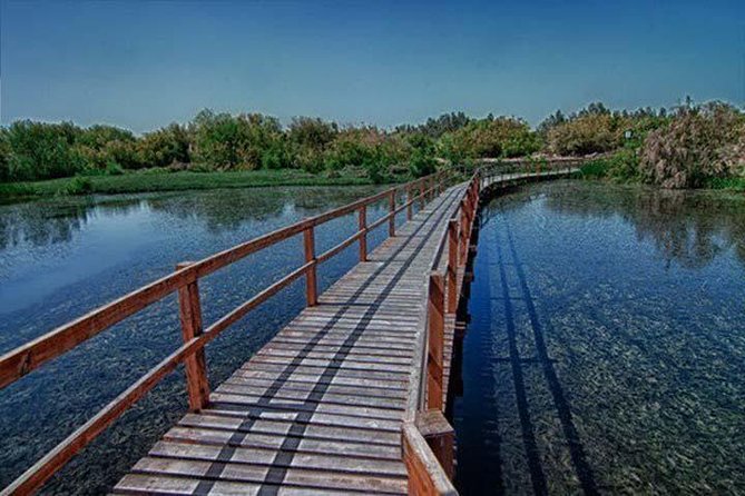 Shaumari Reserve and Azraq Wetland Private Full Day Tour from Amman - Who will get the most from this experience?