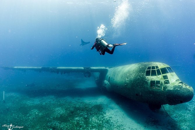 Shore Certified Diving - Two Dives - What makes South Beach worth the trip