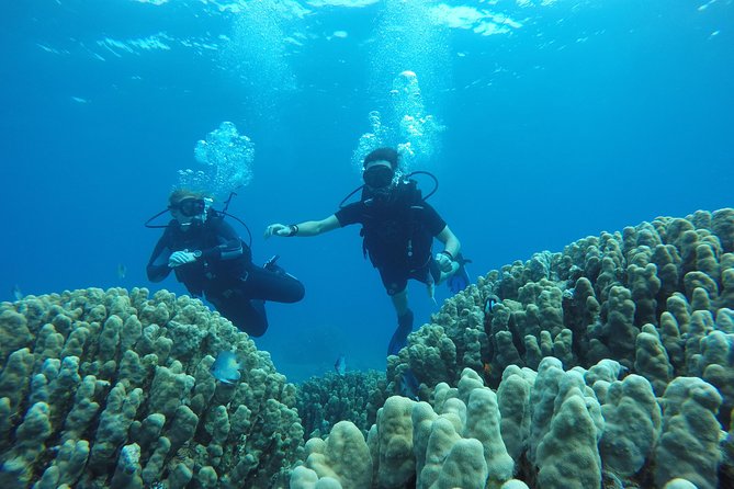 Shore Discover SCUBA Diving/Introductory Diving - One Dive - Getting ready at Aqaba Sharks Bay Divers