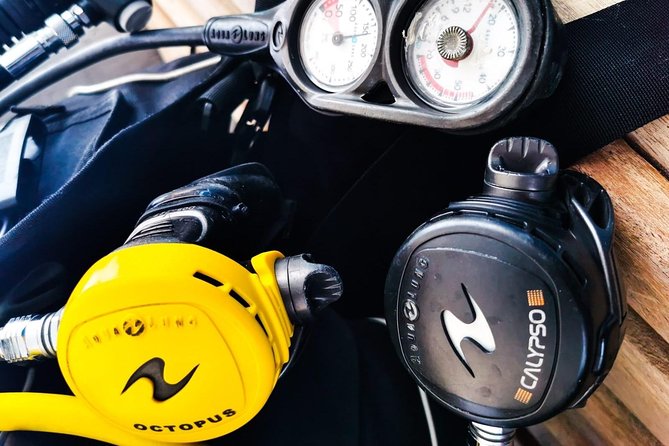 Shore Discover SCUBA Diving/Introductory Diving - One Dive - The $75 question: good value for a first try?