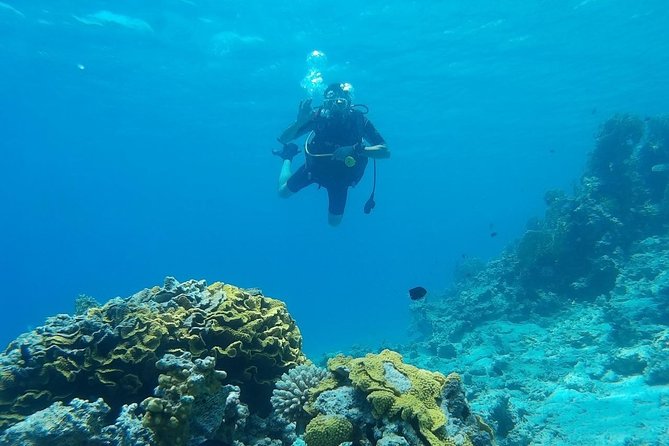 Shore Discover SCUBA Diving/Introductory Diving - One Dive - Why one-to-one instruction matters