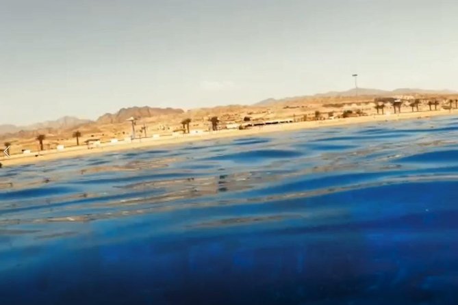 Shore Snorkeling - Two hours - Why South Beach is Aqaba’s main snorkeling stop