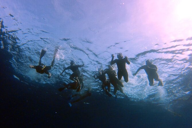 Snorkeling Activity in Aqaba with Lunch and Transportation (Boat) - What this Aqaba boat trip is really about