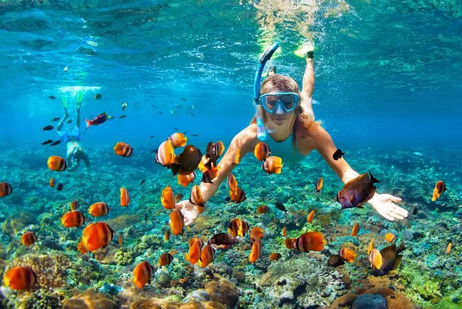 Snorkeling Activity in Aqaba with Lunch and Transportation (Boat) - Weather, timing, and cancellation details