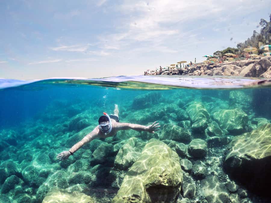 Snorkeling in The Red Sea With Equipment And Free Transfer - Key points to know before you book
