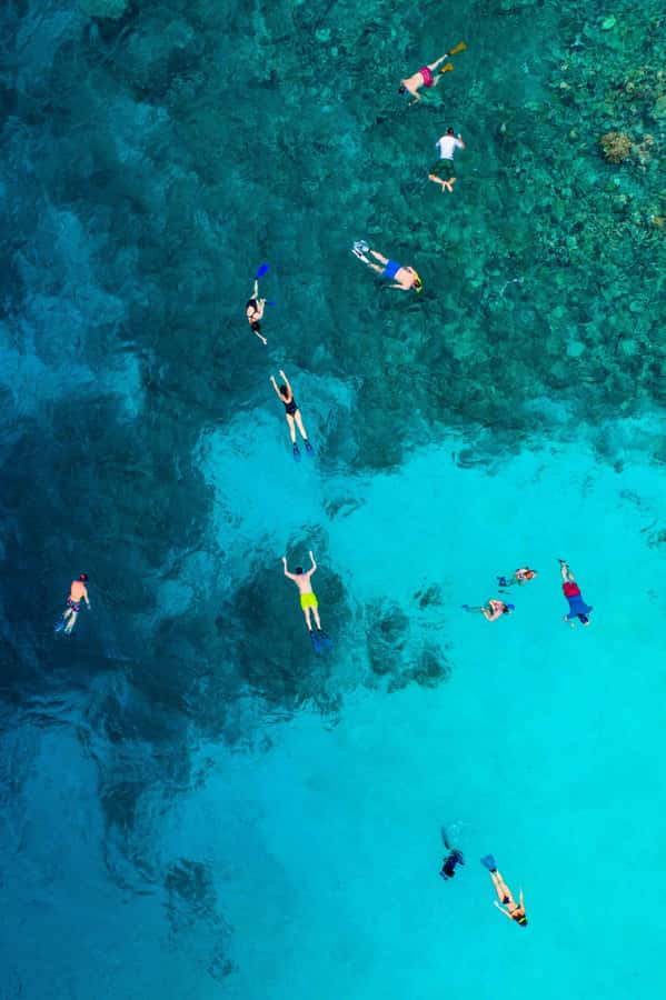 Snorkeling in The Red Sea With Equipment And Free Transfer - Equipment, comfort, and what you need to carry