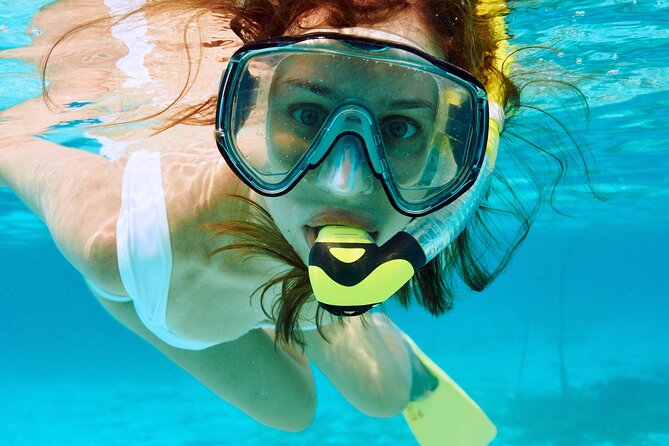 Snorkeling Trip with pick up ( beach) - Meeting at Hammerhead Center or arranging pickup