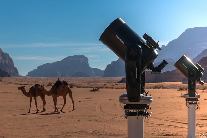 Stargazing Adventure in Jordan - Key points to know before booking