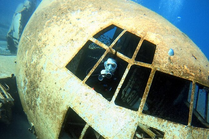 Take advantage of a half-day boat dive experience in Red sea of Aqaba. - What you may see beneath Aqaba’s clear water