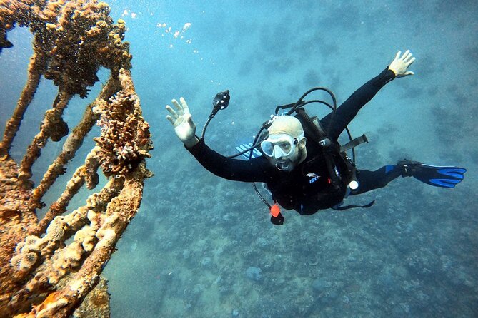Take advantage of a half-day boat dive experience in Red sea of Aqaba. - One tank, then snorkeling and swimming