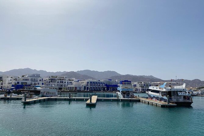Take advantage of a half-day boat dive experience in Red sea of Aqaba. - Lunch with a view of the Red Sea