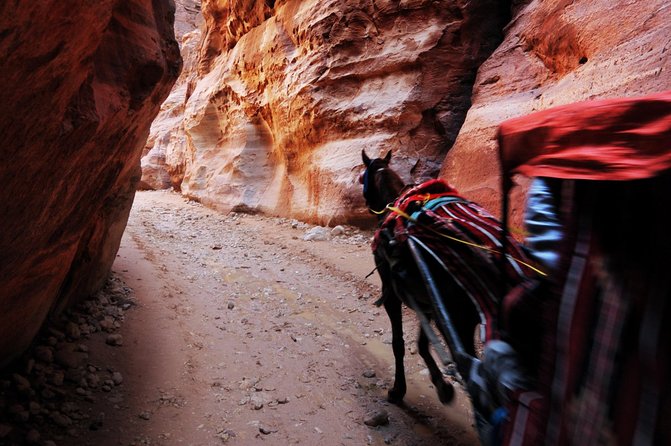 Transportations around Jordan | The Jordanian Mappers - The full-size sedan and what it means on the road