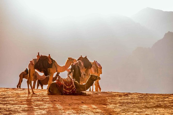 Treasures of Jordan Tour-7 Days Discover Petra & Dead Sea & Wadi Rum with Hotels - Day 4: Wadi Rum by jeep and under the stars