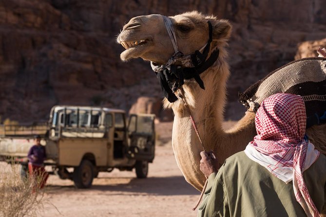 Two-Hour Jeep Safari "Wadi Rum Highlights!" w/ Professional Guide - Lawrence’s Spring and the desert’s famous name