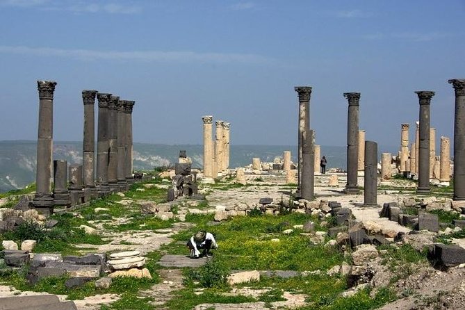 Umm Qais, Ajloun and Jerash Full-Day Tour from Amman - Three hours among the columns at Jerash