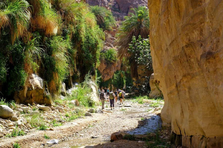 Wadi Ghuweir Full-Day Hike with Local Guide & Lunch. - Key points to know before booking
