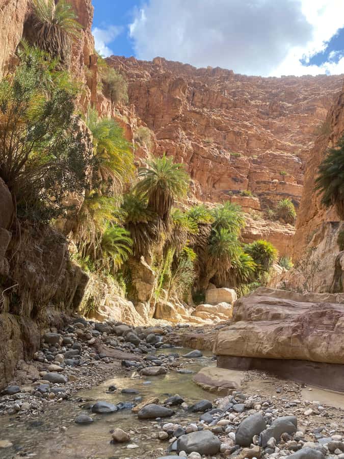 Wadi Ghuweir Full-Day Hike with Local Guide & Lunch. - Walking beside the stream for five to six hours