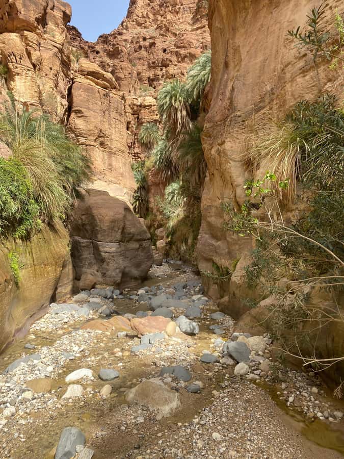 Wadi Ghuweir Full-Day Hike with Local Guide & Lunch. - Who will enjoy this hike most