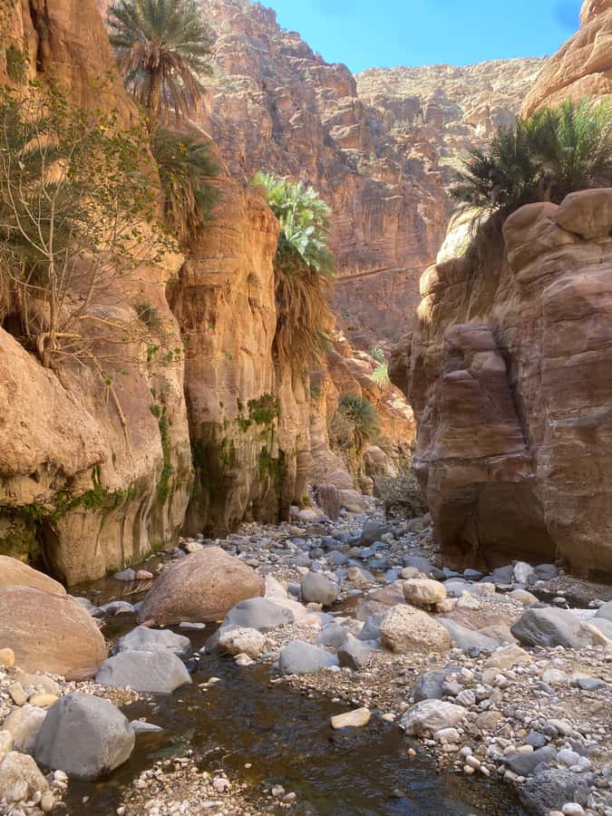 Wadi Ghuweir Full-Day Hike with Local Guide & Lunch. - Starting near Shoubak and Dana