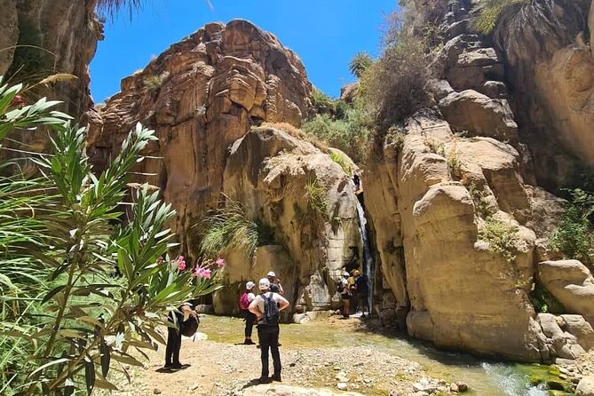 Wadi Hora and Wadi Bin Hammad Canyoning Adventure - Rappelling into Wadi Bin Hammad