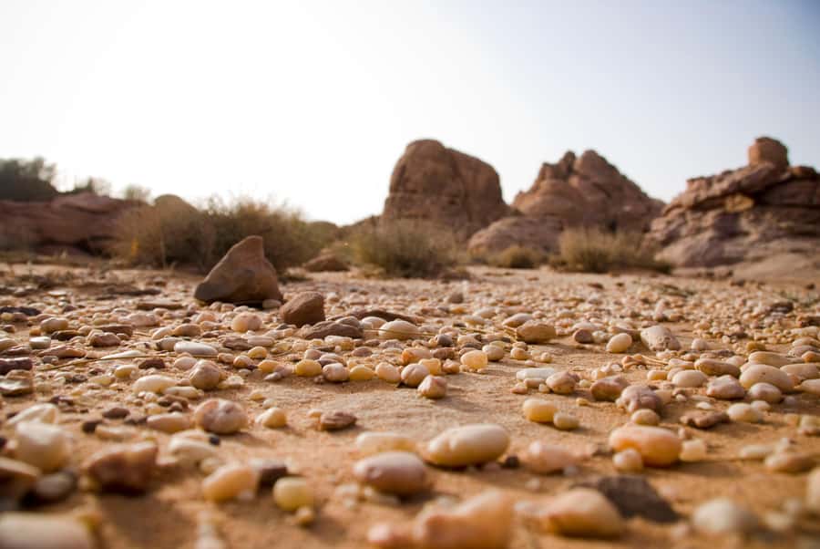 Wadi Rum: 10 Hour Jeep Tour Pass, Camel, Sandbording & Lunch - Jeep routes through the red desert