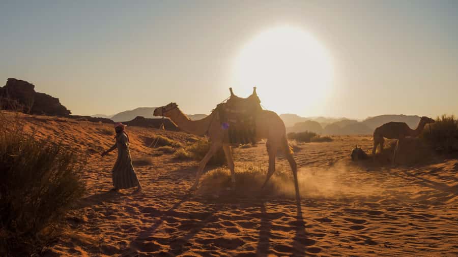 Wadi Rum: 2 Hour Camel Ride at Sunset/Sunrise Overnight - The 20-minute drive into the desert