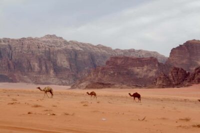 2nights|3Day all-inclusive BedouinDesertExperience