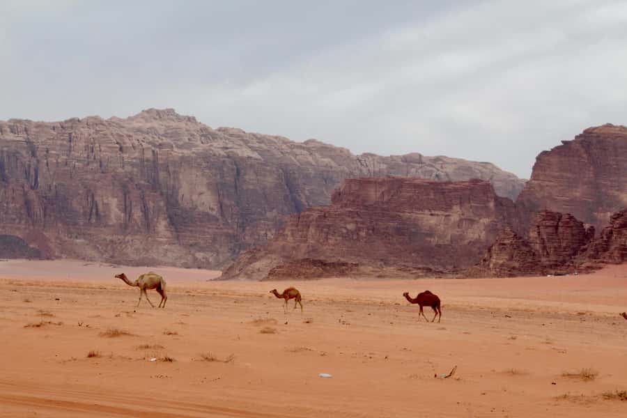 Wadi Rum: 2nights|3Day all-inclusive BedouinDesertExperience - Starting at Rum Village or the Visitor Center