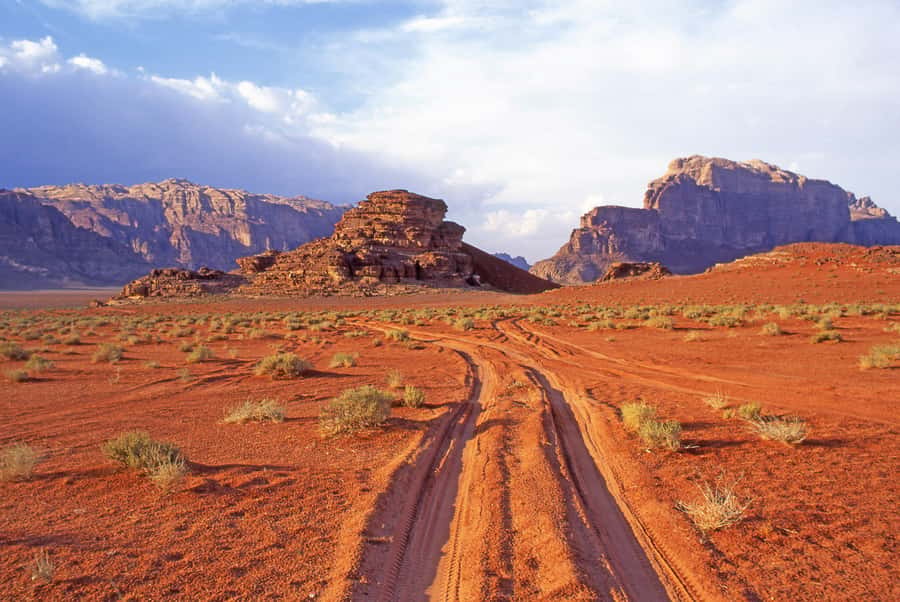 Wadi Rum: Camel Ride with tea and Bedouin Guide - Practical comfort and timing advice