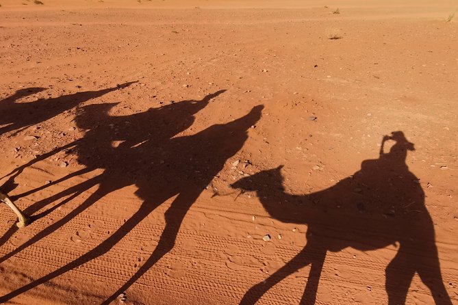 Wadi Rum: Camel Trek Adventure - Meeting at Wadi Rum Rest House