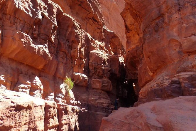 Wadi Rum: Camel Trek Adventure - Camel care and comfort