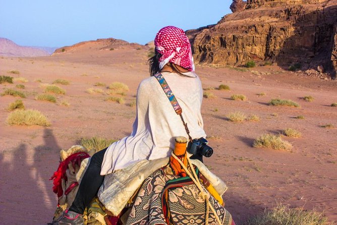 Wadi Rum: Camel Trek Adventure - Is $91 a fair price?