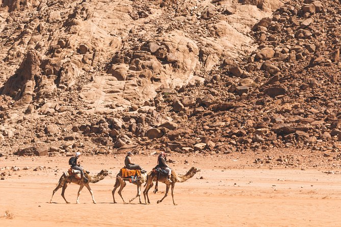 Wadi Rum: Camel Trek Adventure - Lawrence Spring and the first desert views