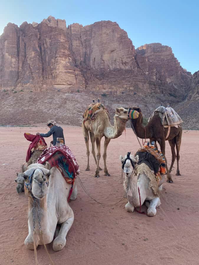 Wadi Rum Classic 4-Hour Jeep Safari - Choosing morning air or sunset color
