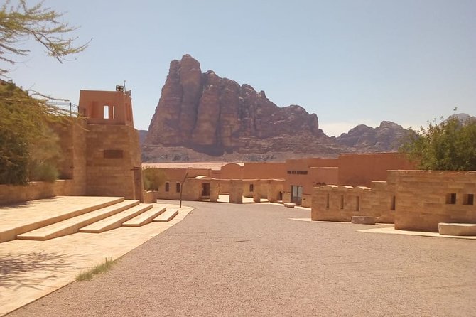 Wadi Rum Day Tour from Petra ending in Aqaba - Four Wadi Rum sights worth your time