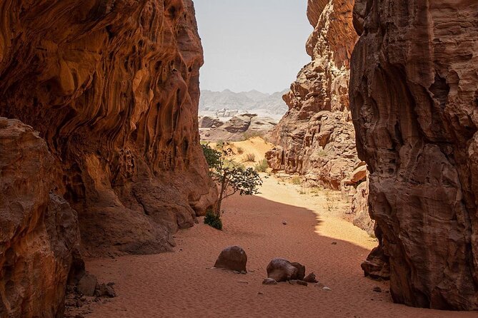 Wadi Rum Desert Tour with Lunch & Sunset - Lawrence House, Mushroom Rock, and the quieter stops