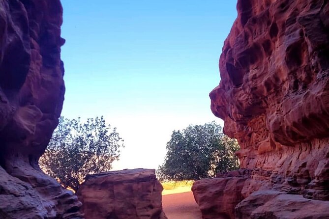 Wadi Rum Full Day Jeep Tour + Overnight & Dinner in Bedouin Camp - Lunch beside the desert rocks