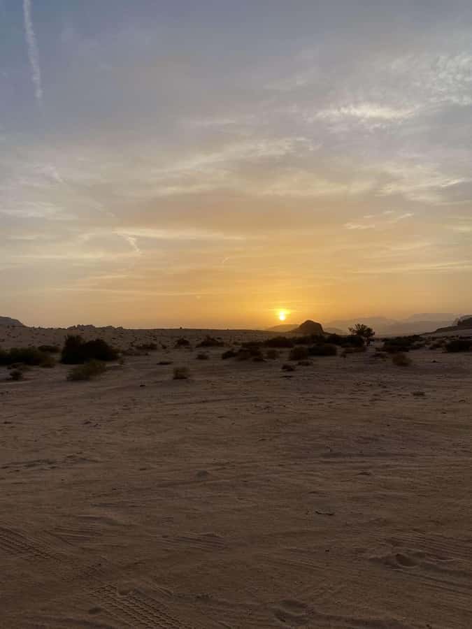Wadi Rum:Full Day Tour Lunch Sand boarding Camel Ride Sunset - Lawrence’s House and the long desert view