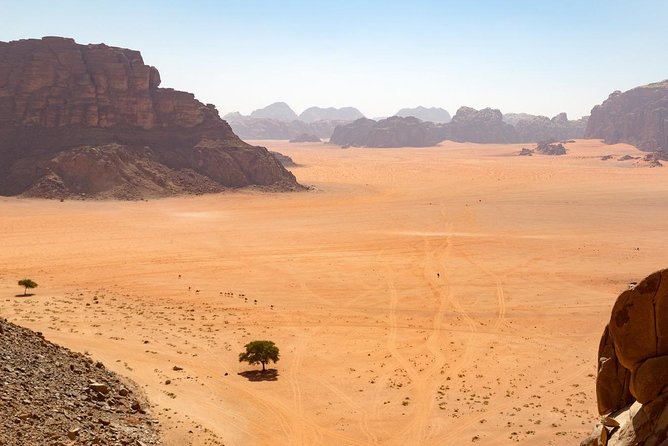 Wadi Rum: Full Day Valley Tour with Lunch - Why a full day matters in Wadi Rum