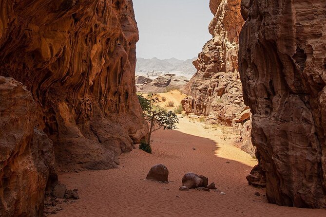 Wadi Rum Half-Day Desert Tour | Wadi Rum Desert - Guide service and the human side of the tour
