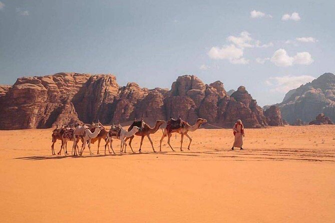 Wadi Rum Half Day From Aqaba Private Tour - From Aqaba to Wadi Rum in one comfortable ride
