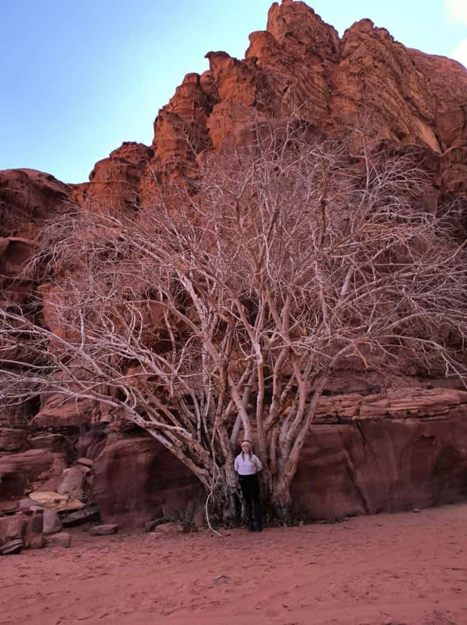 Wadi Rum: Morning or Sunset Jeep Tour - Lawrence’s House and the film-world connection