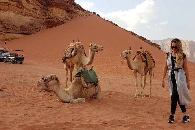 Wadi Rum Private Transfer to or from Amman or Airport - Pickup details that deserve your attention