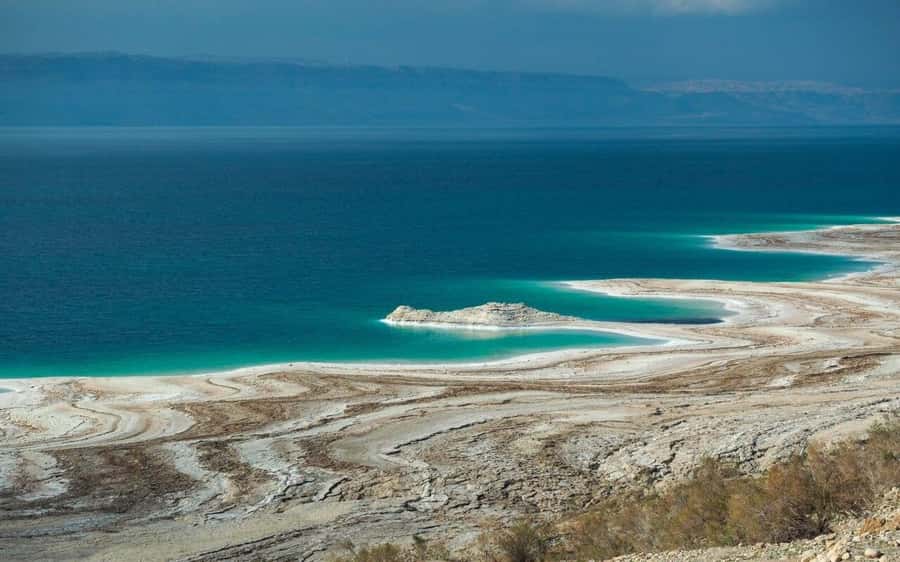 Whispers of Stone, Sand & Sea: Jordan in Five Days - Day 3: Aqaba, coral, and a night in Wadi Rum