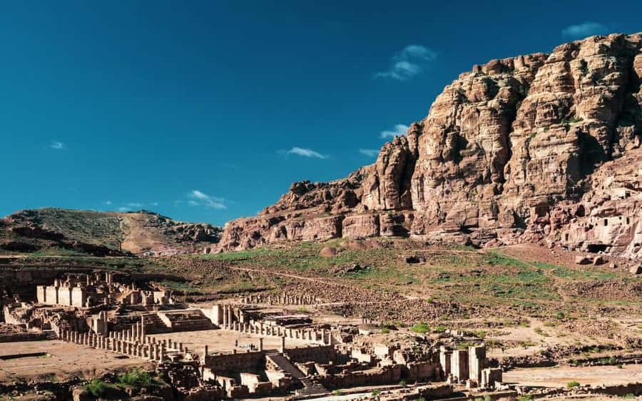 Whispers of Stone, Sand & Sea: Jordan in Five Days - The guide and transport experience
